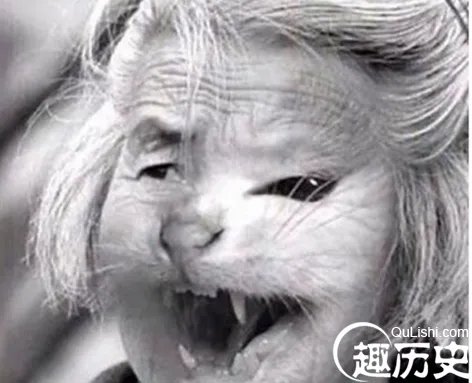 哈尔滨猫脸老太太事件是真的吗？