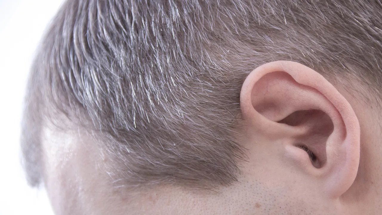 正常成人每天掉多少头发