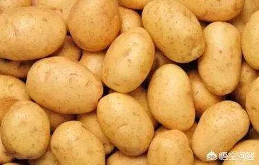 内蒙古人吃土豆有哪些做法？