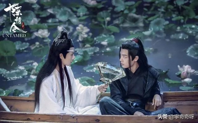 《陈情令》魏婴和蓝湛之间的到底是爱情还是友情？为何？