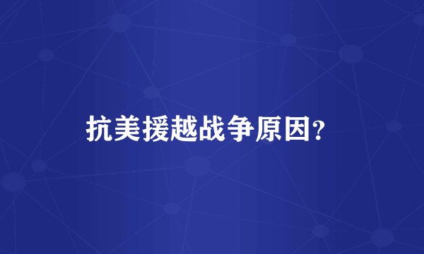 抗美援越战争原因？