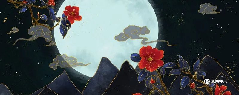 明月别枝惊鹊清风半夜鸣蝉的意思