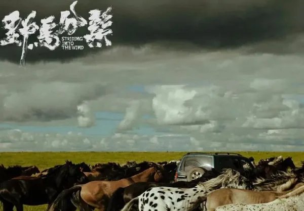 9月上映的电影有哪些？