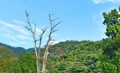 梅州旅游景点大全晚上必去