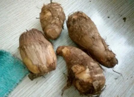 魔芋薏仁粥的家常做法