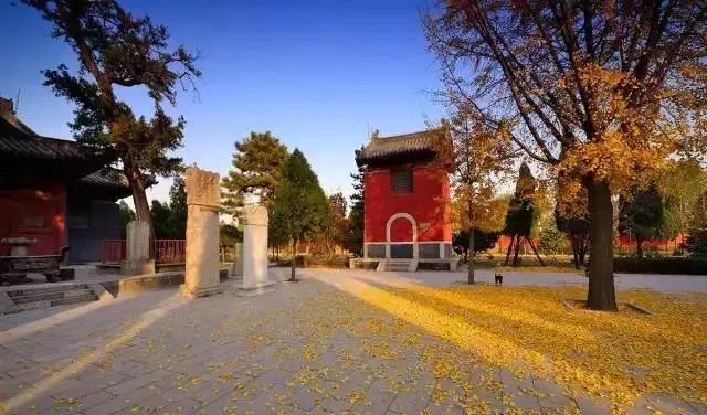 石家庄有哪些城市文化名片?