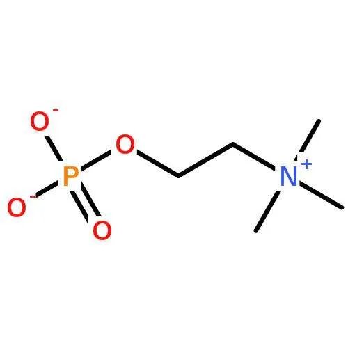 乙酰胆碱的结构式是什么？胆碱的结构式是什么？谢谢！请画图解释，还有那个N 是什么？