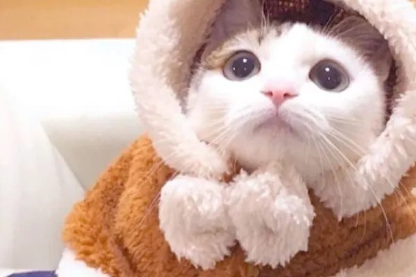 好看的网名符号有哪些？