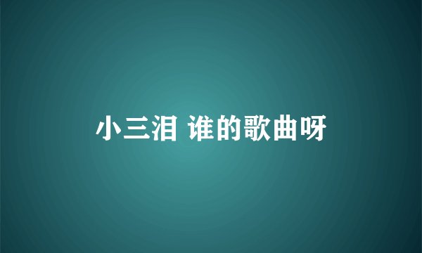 小三泪 谁的歌曲呀