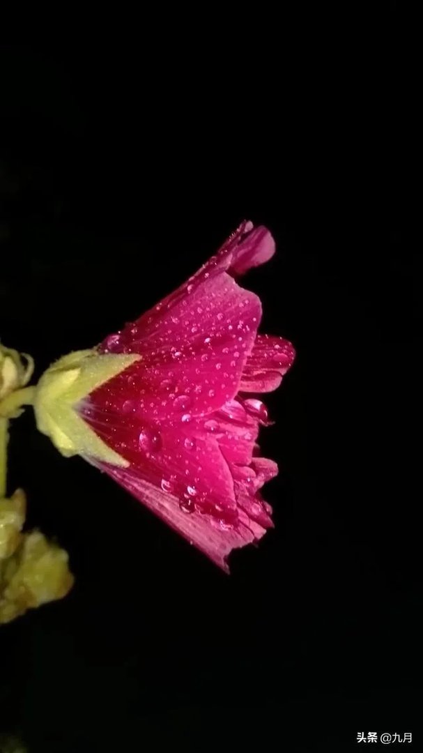 老大男孩叫马玉轩，老二女孩叫什么？中间要有玉？