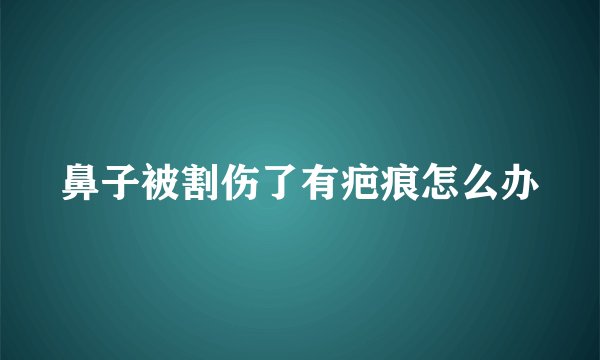 鼻子被割伤了有疤痕怎么办