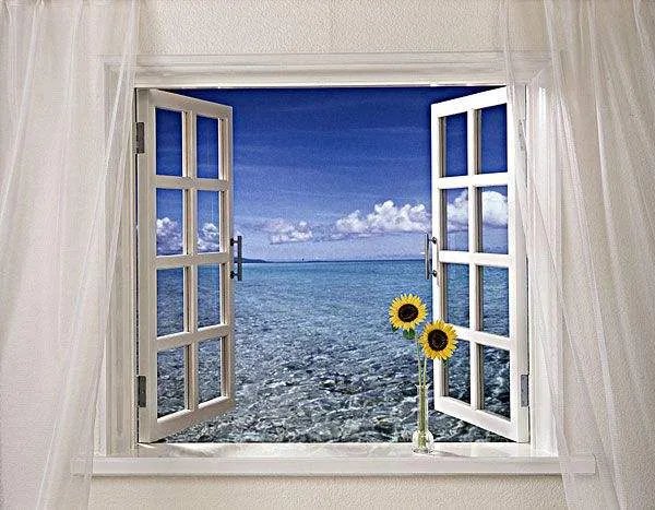 窗户的尺寸一般是多少