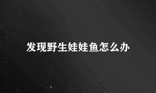 发现野生娃娃鱼怎么办