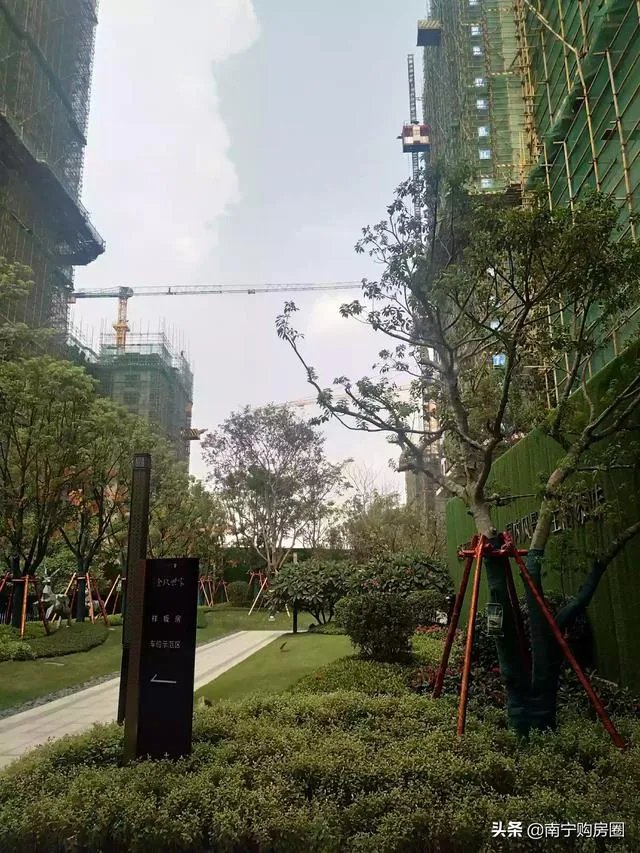 柳州的房价如何？