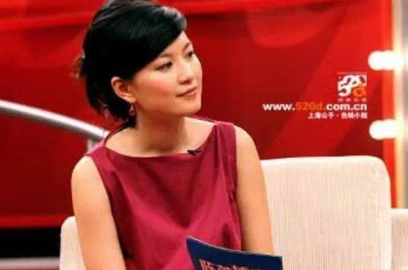 东方卫视十大著名主持人 程雷第一，金星上榜