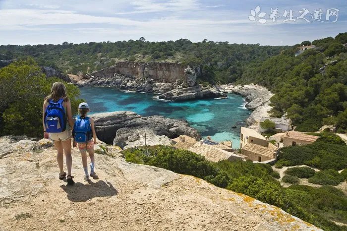 萱草根的药用价值_萱草根的副作用