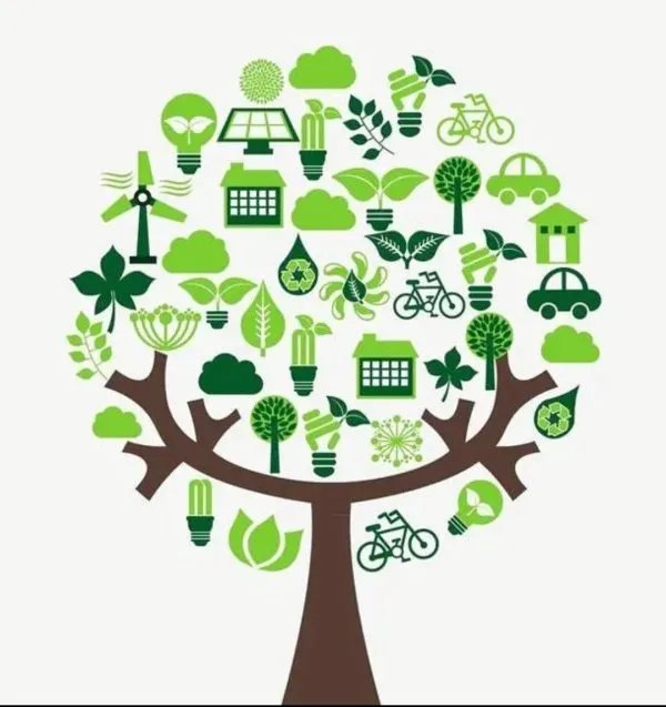 塑料袋和纸袋哪个更环保？