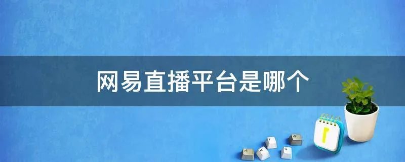 网易直播平台是哪个