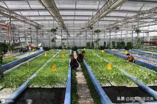 养殖业什么前景最好？