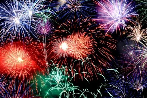 bonne annee什么意思