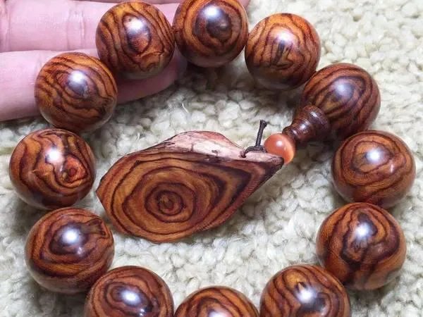 什么是真正的海黄？