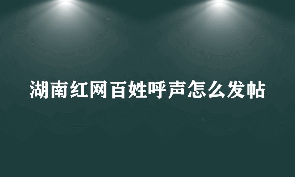 湖南红网百姓呼声怎么发帖