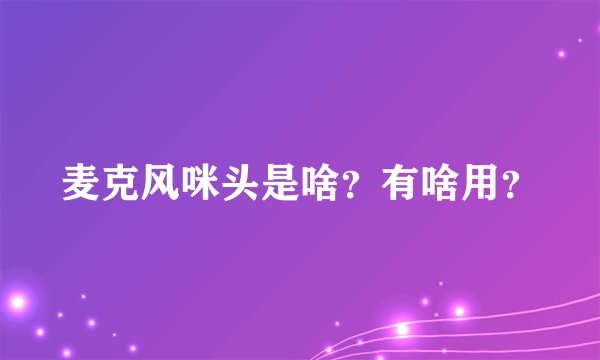 麦克风咪头是啥？有啥用？