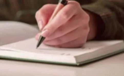 我们与环境的作文300字