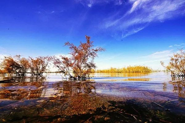 中国十大鬼城城市排名:第二名惨到房价50元一平都无人问津