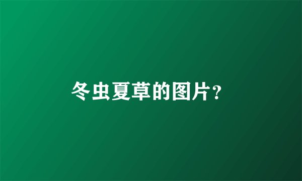 冬虫夏草的图片？