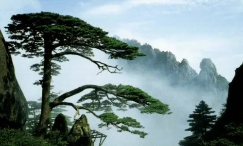 黄山门票优惠政策