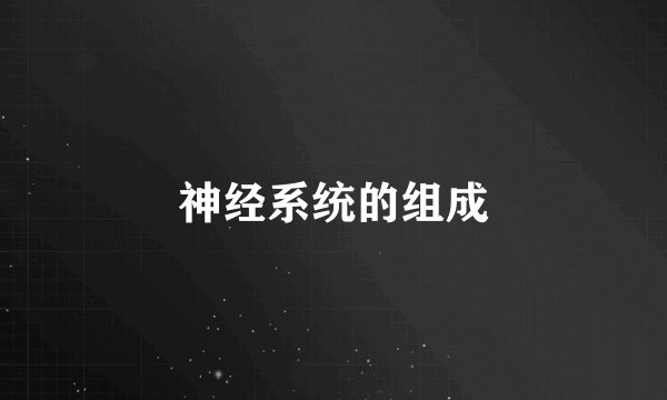 神经系统的组成