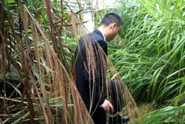 长沙最好楼盘78栋别墅无人认领，其中有什么隐情？