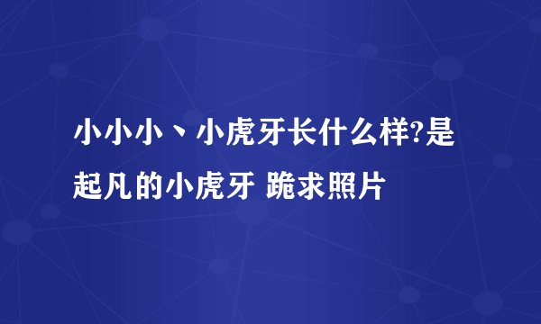 小小小丶小虎牙长什么样?是起凡的小虎牙 跪求照片