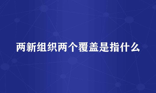 两新组织两个覆盖是指什么