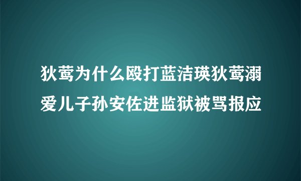 狄莺为什么殴打蓝洁瑛狄莺溺爱儿子孙安佐进监狱被骂报应