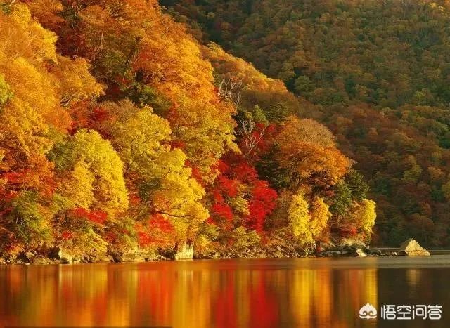 “五一”放几天假最好？为什么？