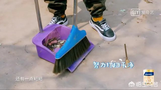 邓莎家的大麟子你们喜欢吗？