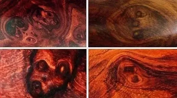 什么是真正的海黄？