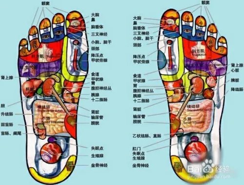 详细脚部穴位图解
