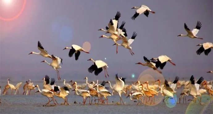 鄱阳湖在哪个省？鄱阳湖怎么读？