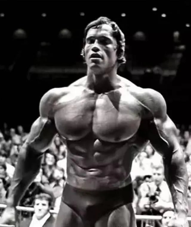 史泰龙和施瓦辛格谁厉害？