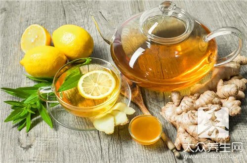 白菊花茶功效作用有哪些