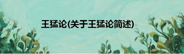 王猛论(关于王猛论简述)