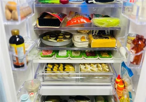 冰箱冷藏室不制冷怎么回事