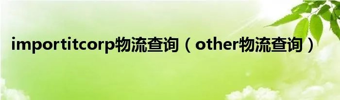 importitcorp物流查询（other物流查询）