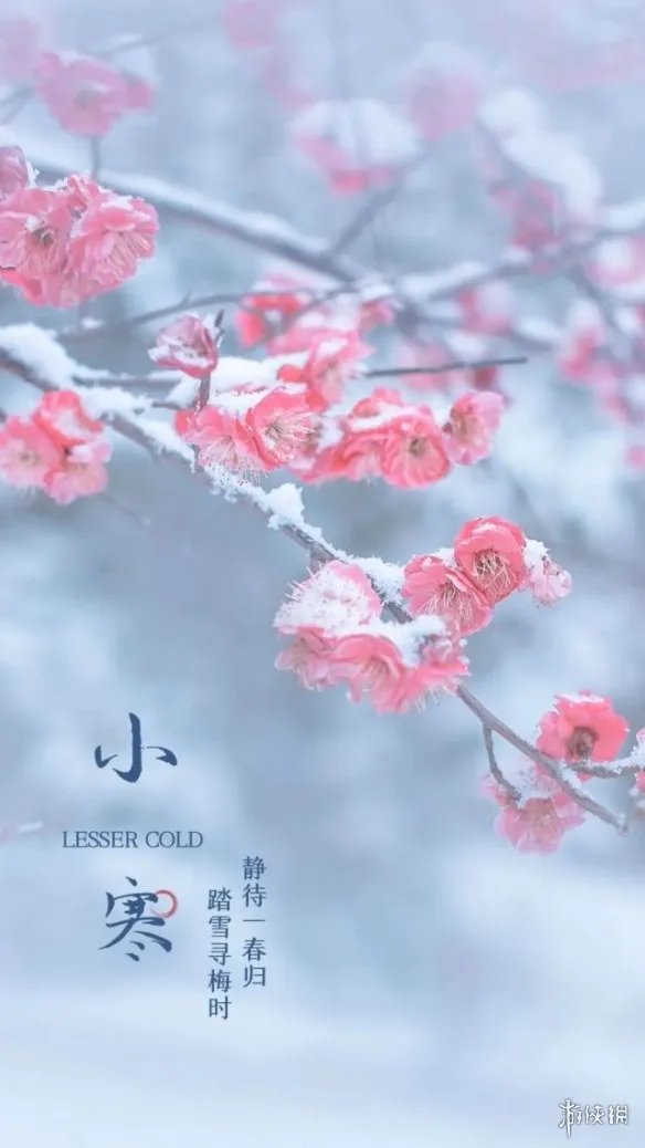 小寒图片大全 小寒图片2022朋友圈配图