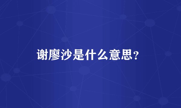 谢廖沙是什么意思？