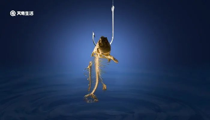 授之以鱼不如授之以渔的理解