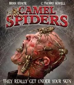 食人巨蛛的介绍